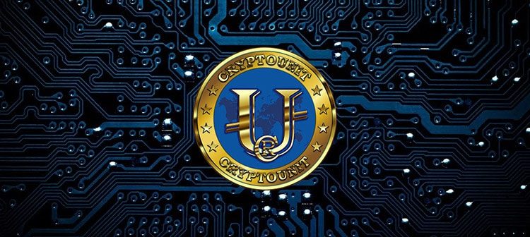 CryptoUnit Project Fraud