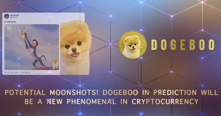 Potential Moonshots! Dogeboo in Prediction will be a New Phenomenal  in Cryptocurrency