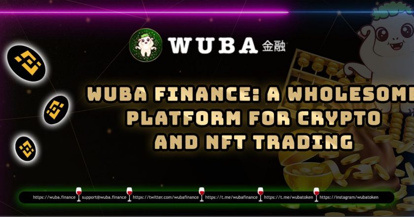 Wuba Finance: A Wholesome Platform For Crypto And NFT Trading