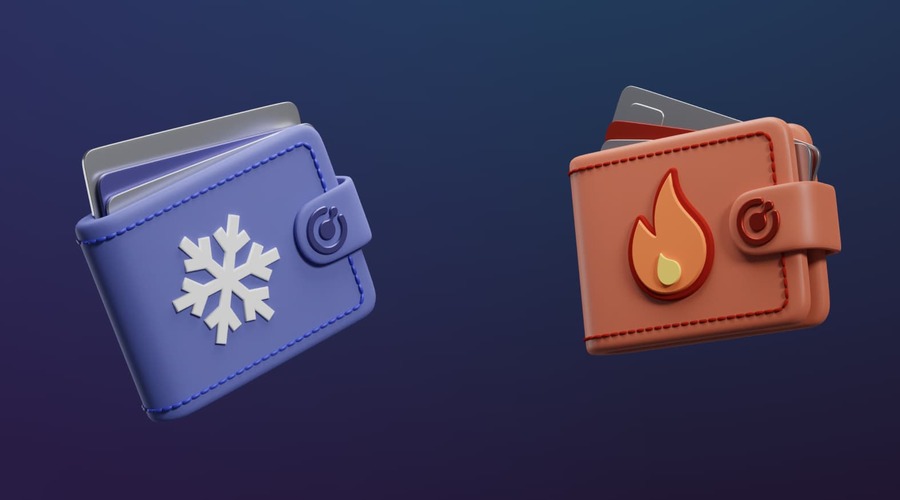 Hot wallet vs Cold wallet